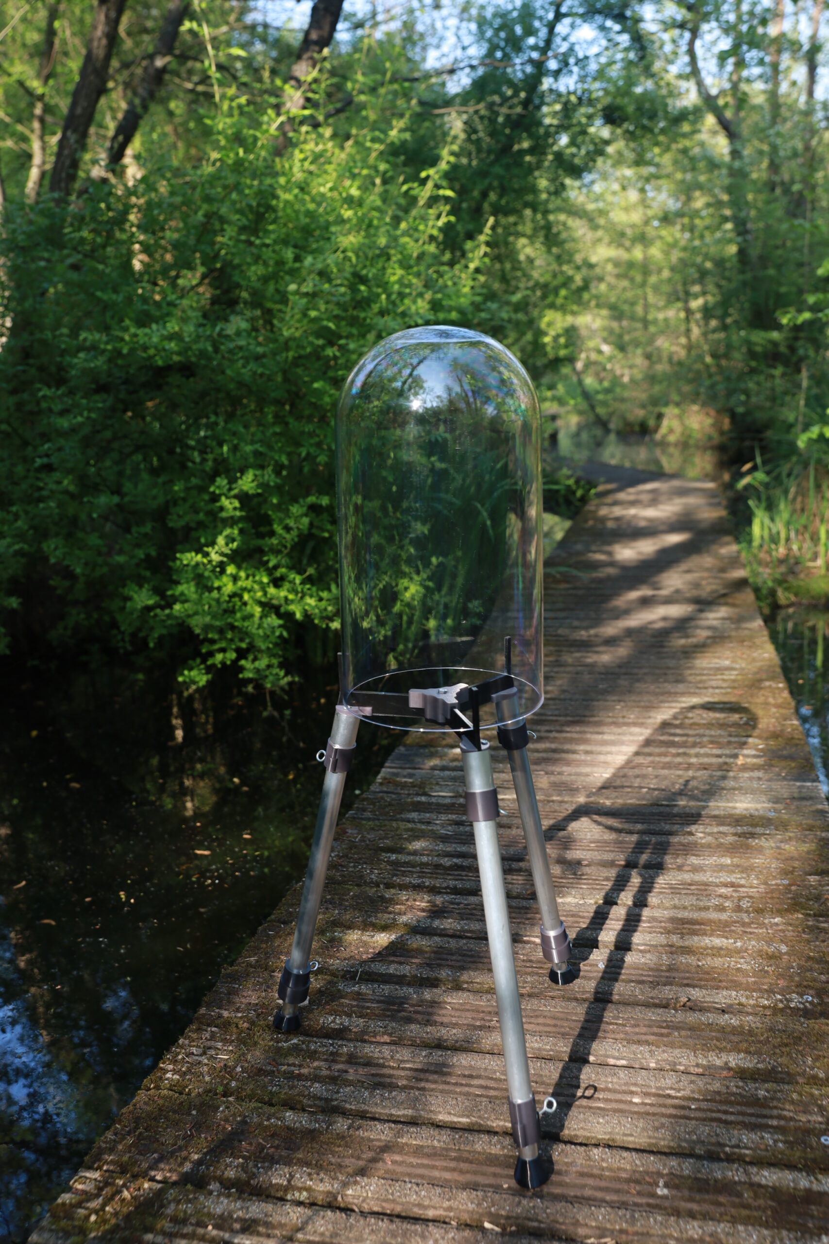 FishView - Image 3
