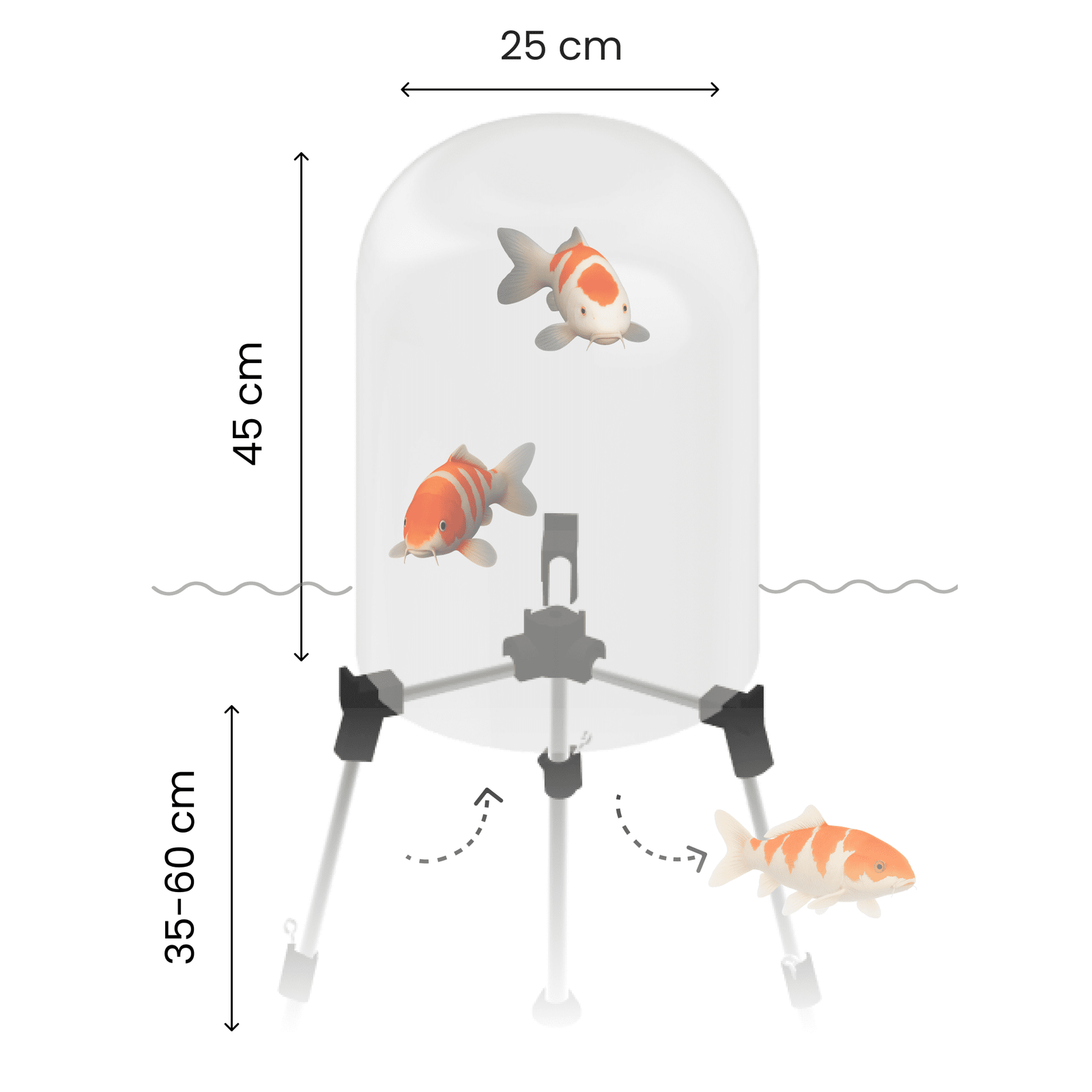 FishView - your fish are up to something!