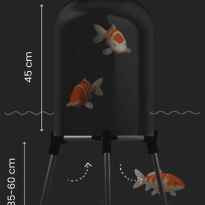 Koi swimming in the fishview dome model measurement