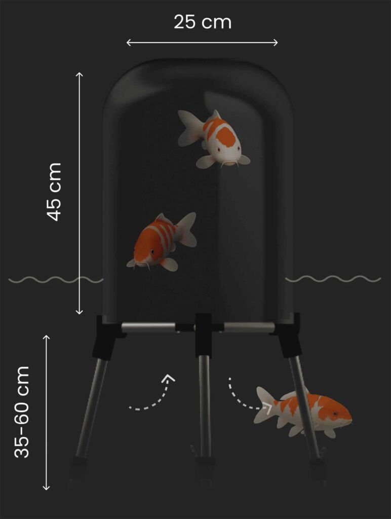 Koi swimming in the fishview dome model measurement