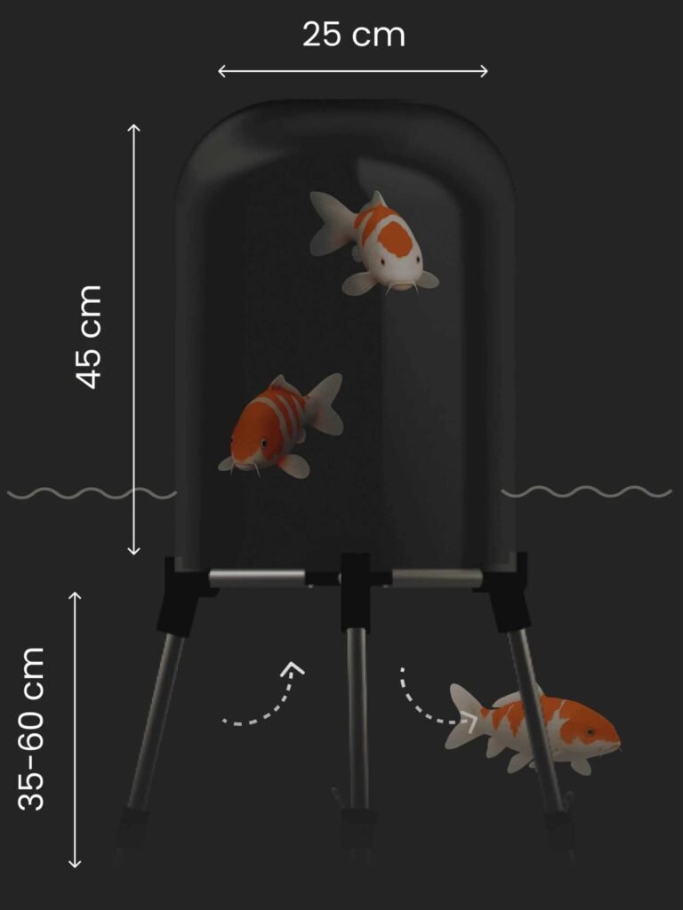 Koi swimming in the fishview dome model measurement