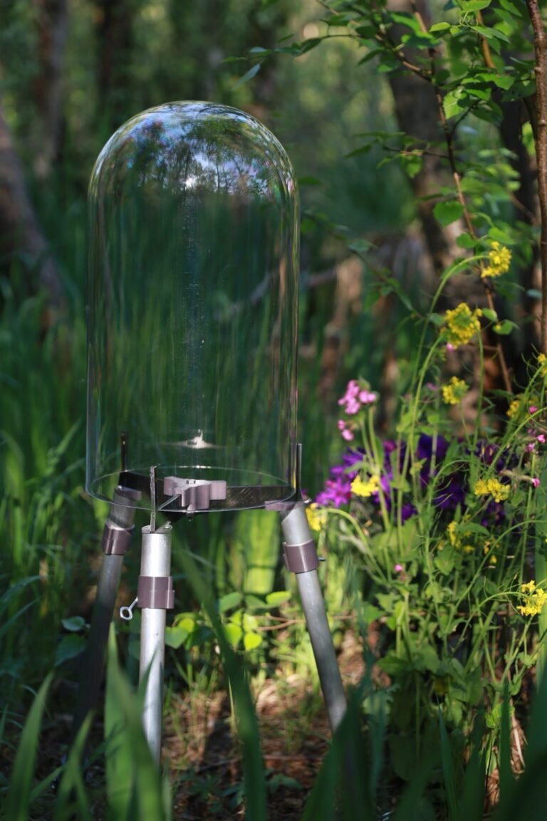 Close-up of a clear FishView plexiglass dome on aluminium legs in a garden pond