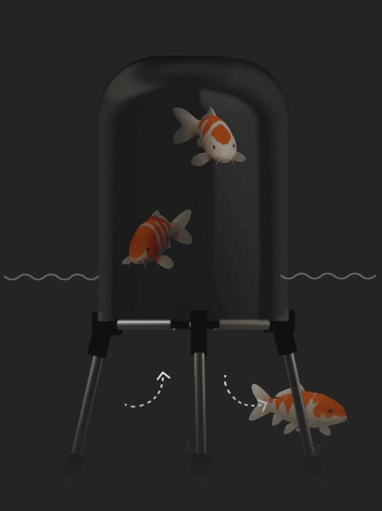 FishView dome with fish swimming in and out