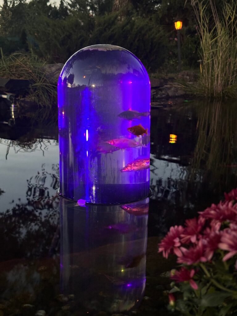 FishView pond dome glowing purple at night with fish inside, next to pink flowers