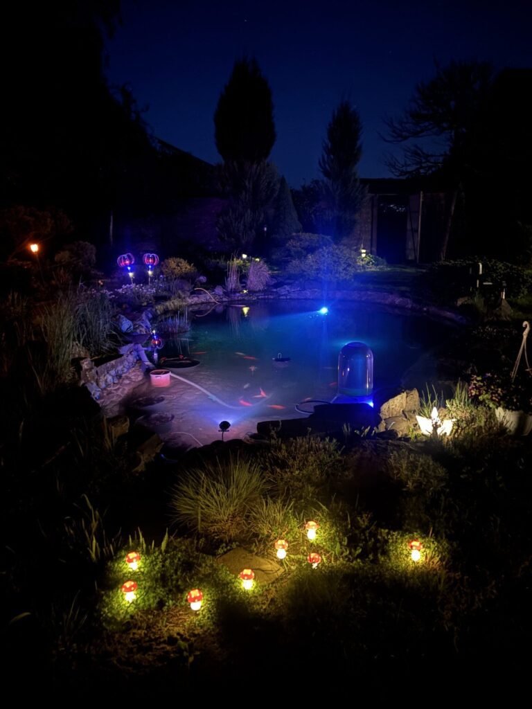 Garden pond at night lit by small garden lights with a FishView dome
