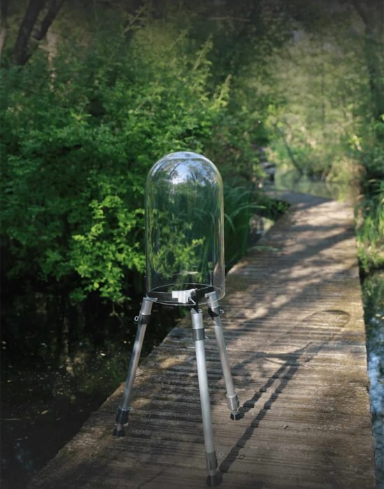 FishView_6