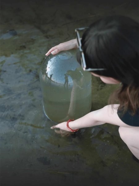 installation of garden pond decoration fishview