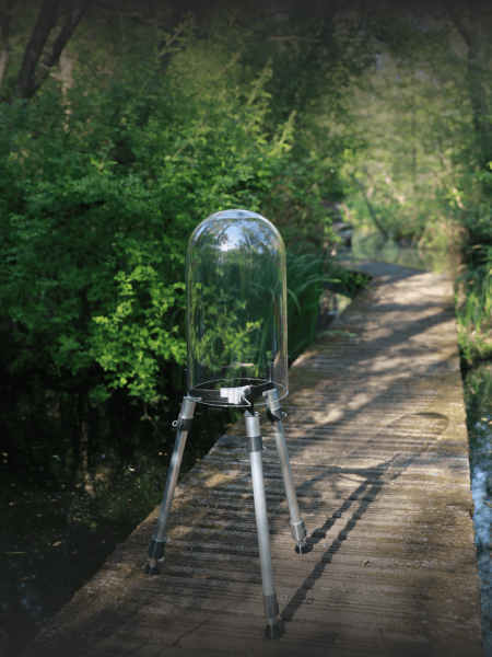 fishview in the garden - decoration for the fish pond
